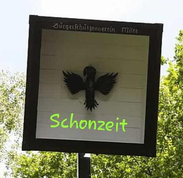 Schonzeit