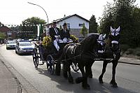 IMG 7982
