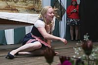 Schützenfest Milte 2018 IMG 2391 PSP2 HEIMATABEND