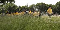 Schützenfest Milte 2018 IMG 3191 PSP2 Montag